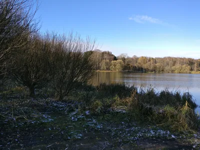 Pokrovskoye-Streshnëvo, Russia — 2 November 2017