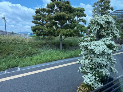 Fukuyama, Japan — 15 June 2026