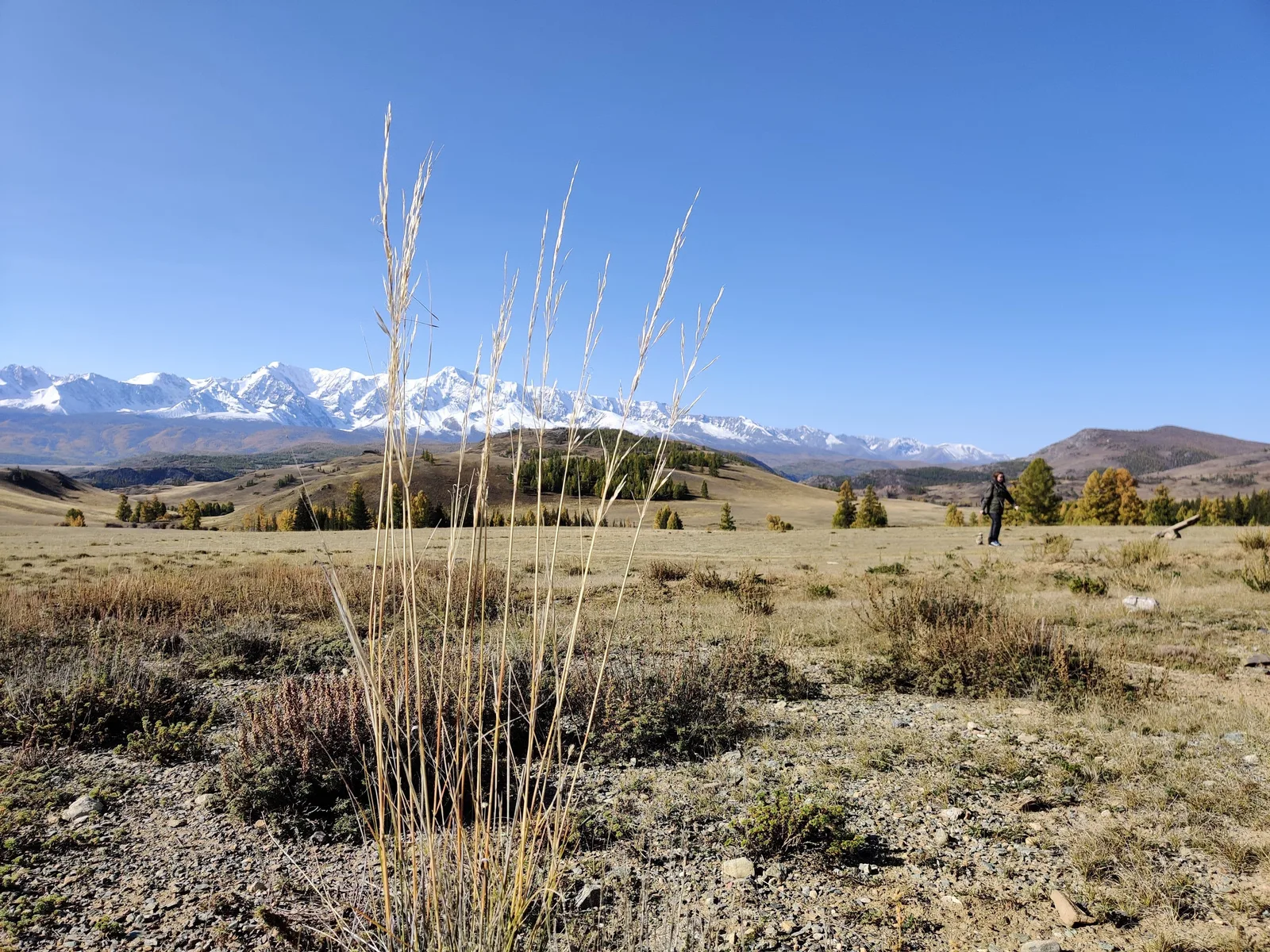 Aktash, Russia — 20 September 2020