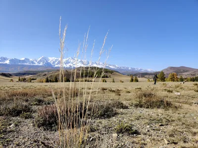 Aktash, Russia — 20 September 2020