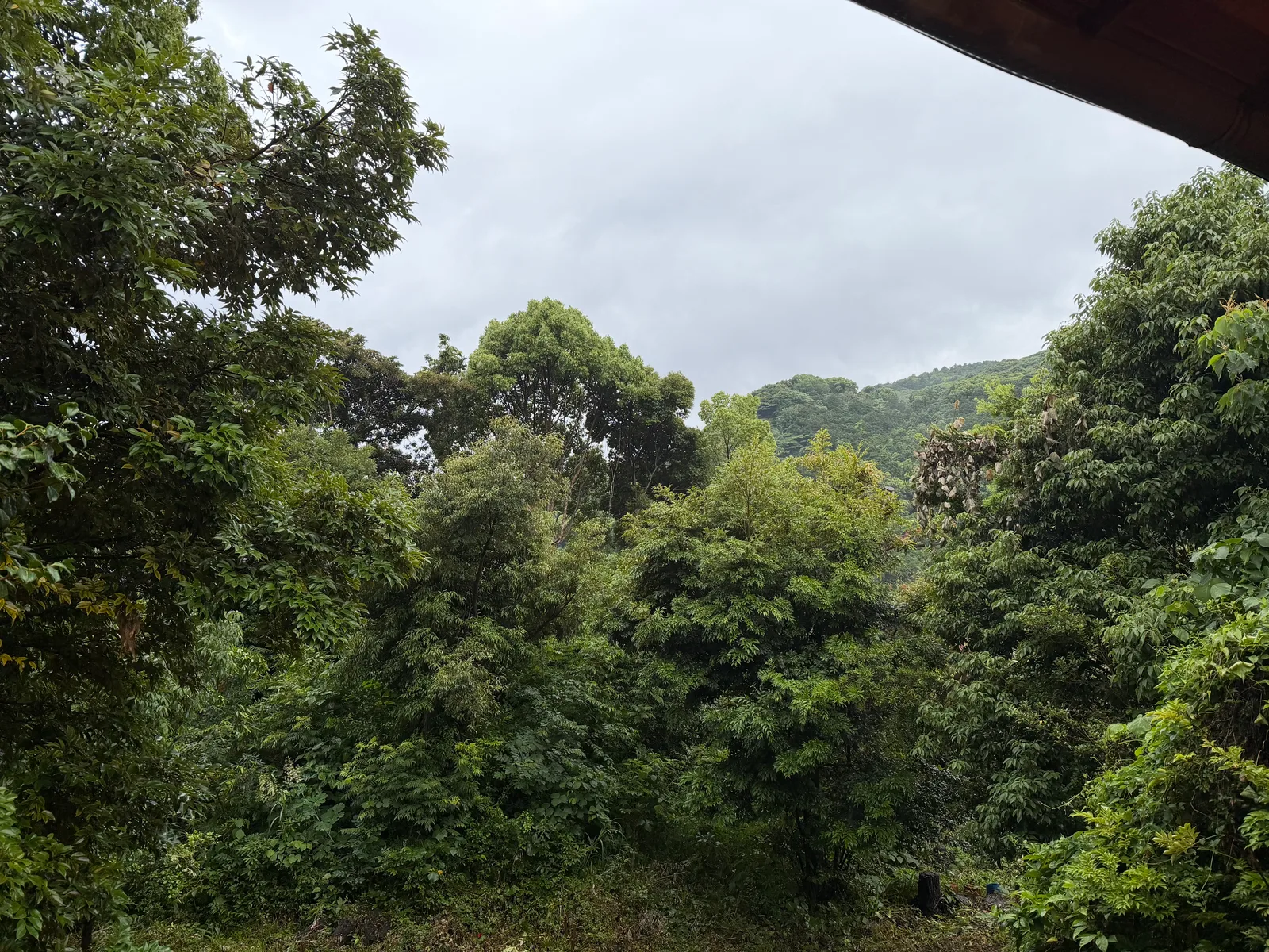 Itō, Japan — 20 June 2026