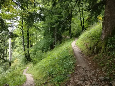 Maurach, Austria — 17 September 2017