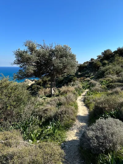 Pissoúri, Cyprus — 19 February 2023