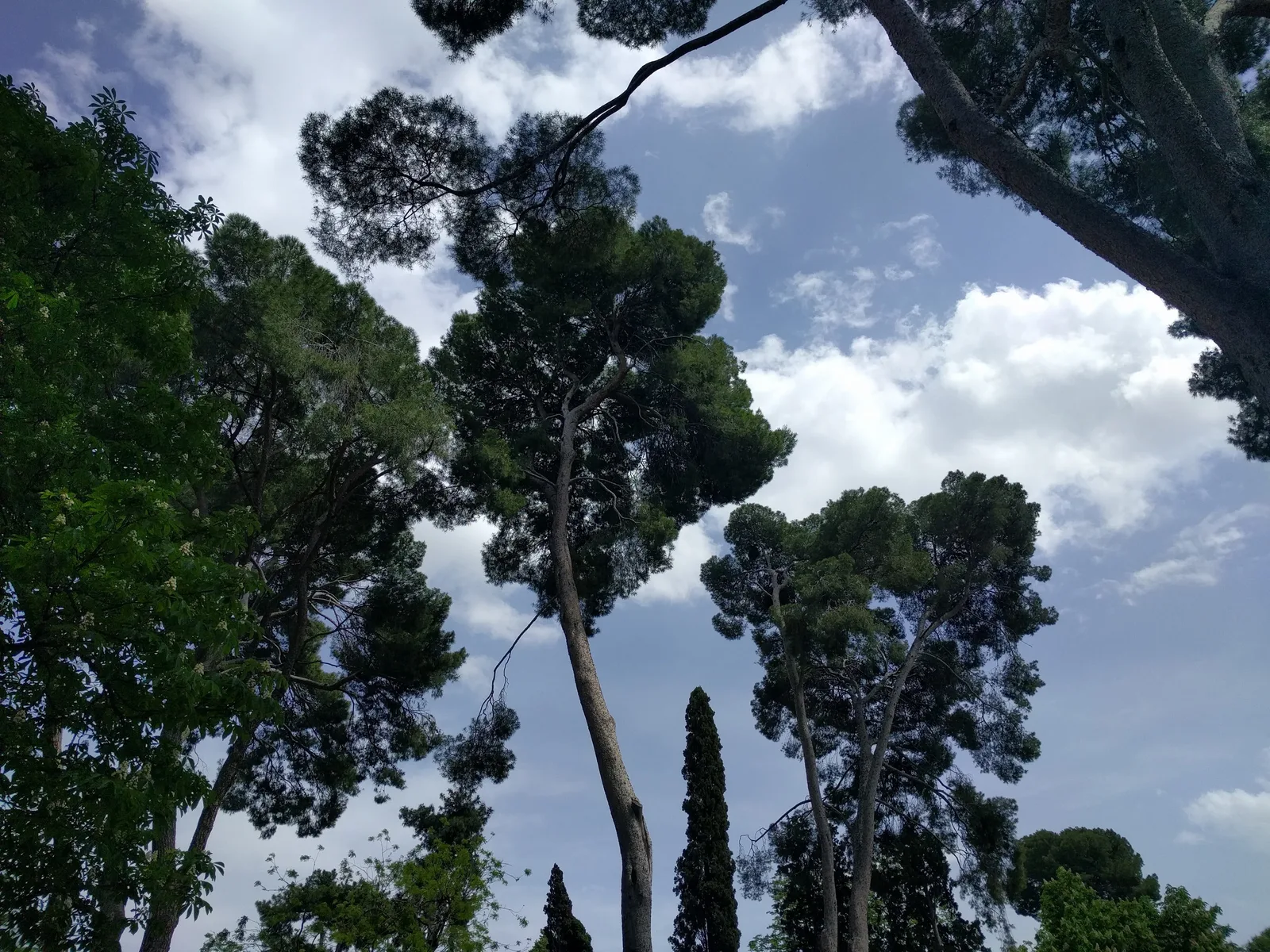 Photo from 25 April 2017