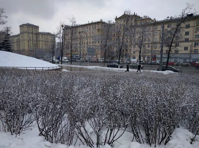 Photo from 25 February 2016