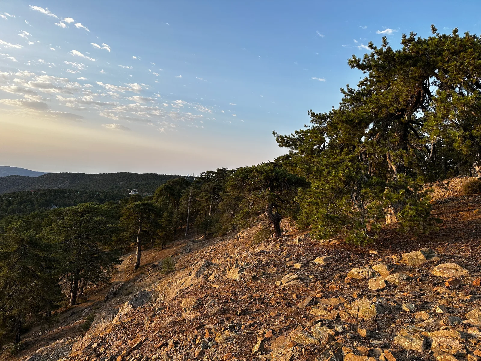 Tróodos, Cyprus — 13 August 2023
