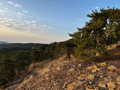 Tróodos, Cyprus — 13 August 2023