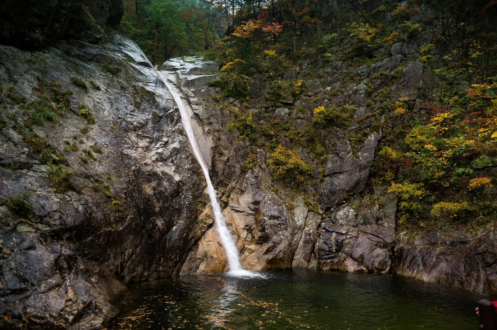 Photo from 20 October 2016