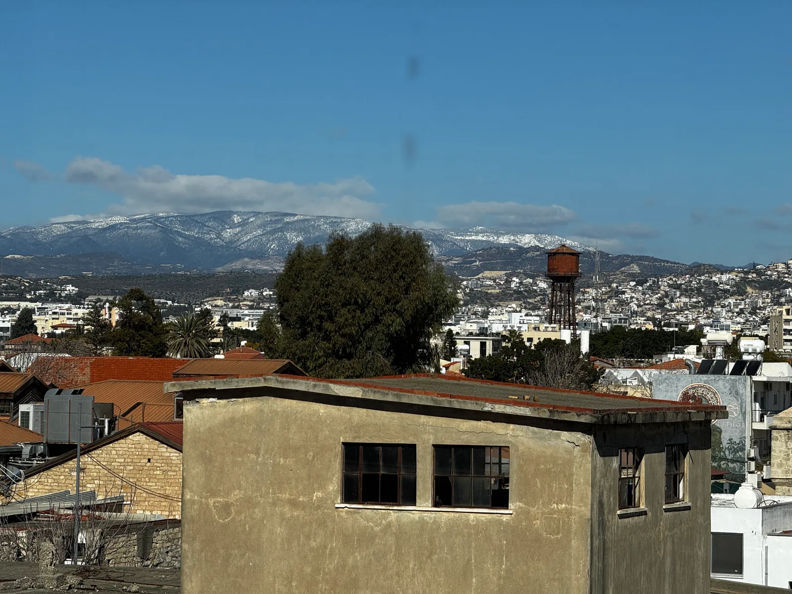 Limassol, Cyprus — 6 February 2025