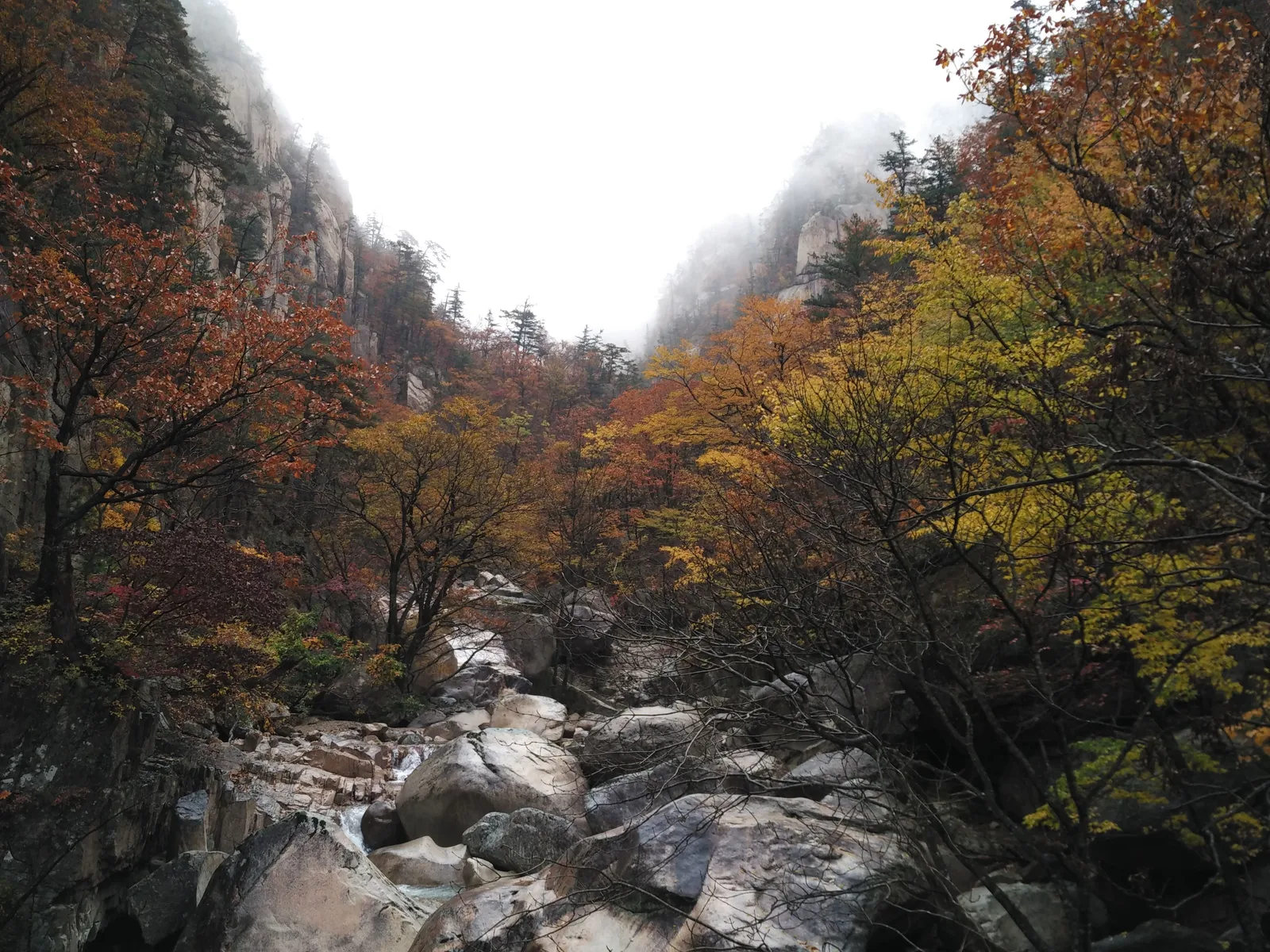 Photo from 21 October 2016