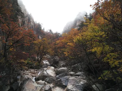 Photo from 21 October 2016