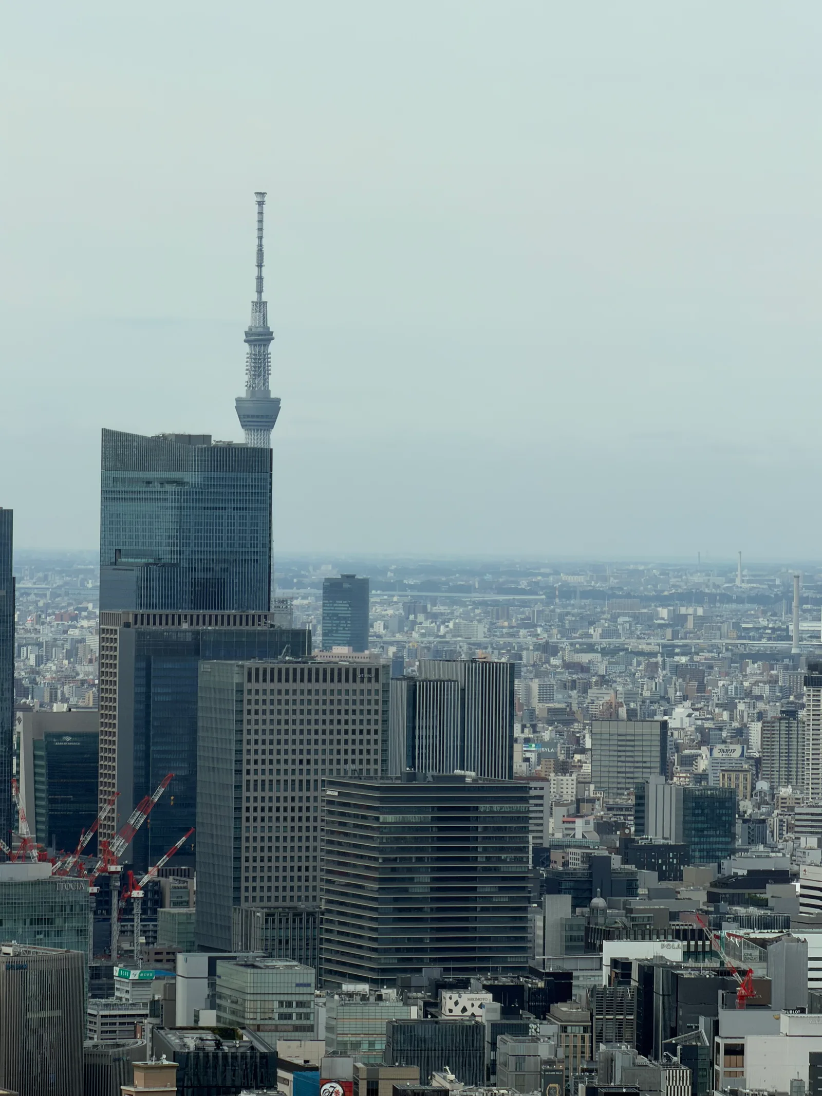 Minato City, Japan — 23 June 2026