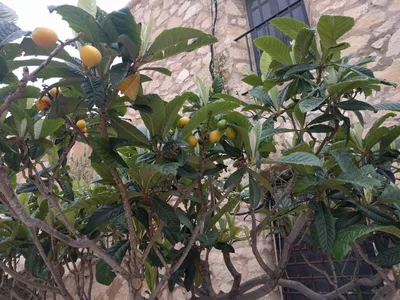 Photo from 28 April 2017