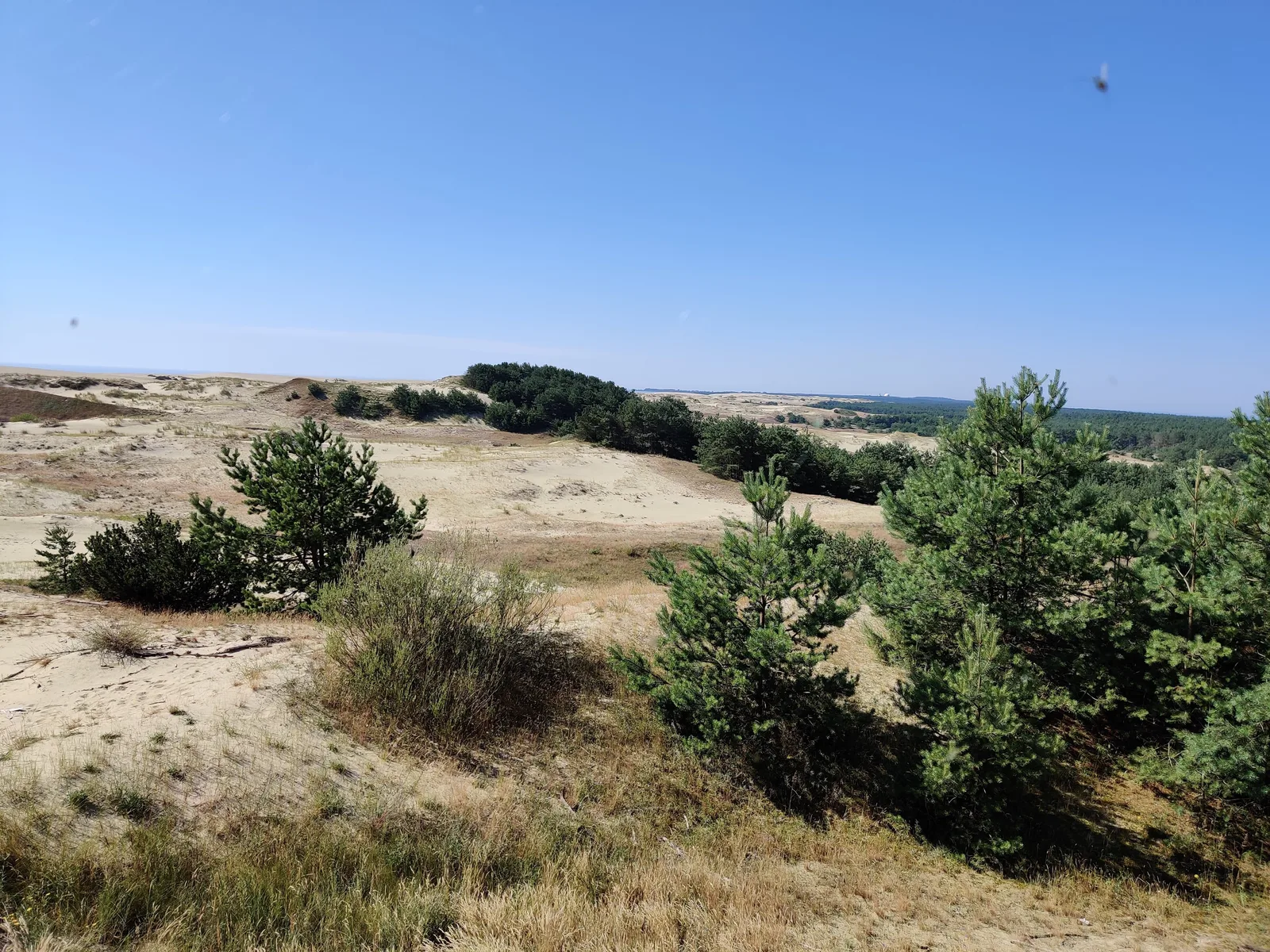 Nida, Lithuania — 18 July 2020