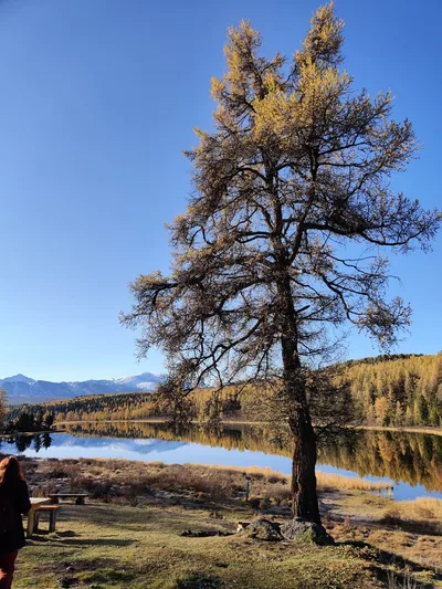 Aktash, Russia — 21 September 2020