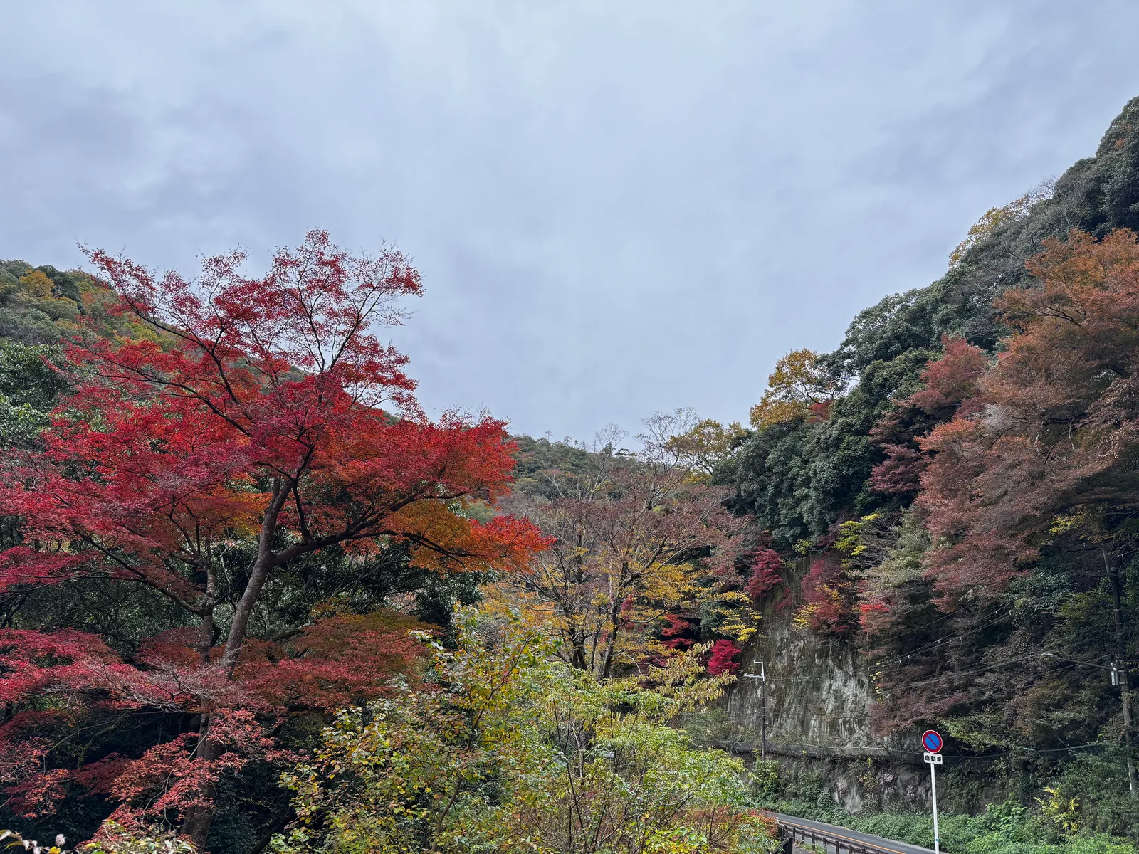 Minoh, Japan — 26 November 2024