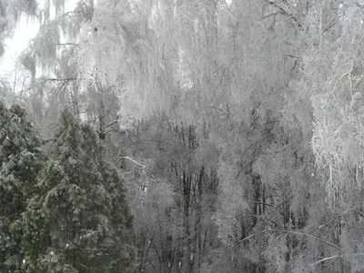 Photo from 26 December 2010