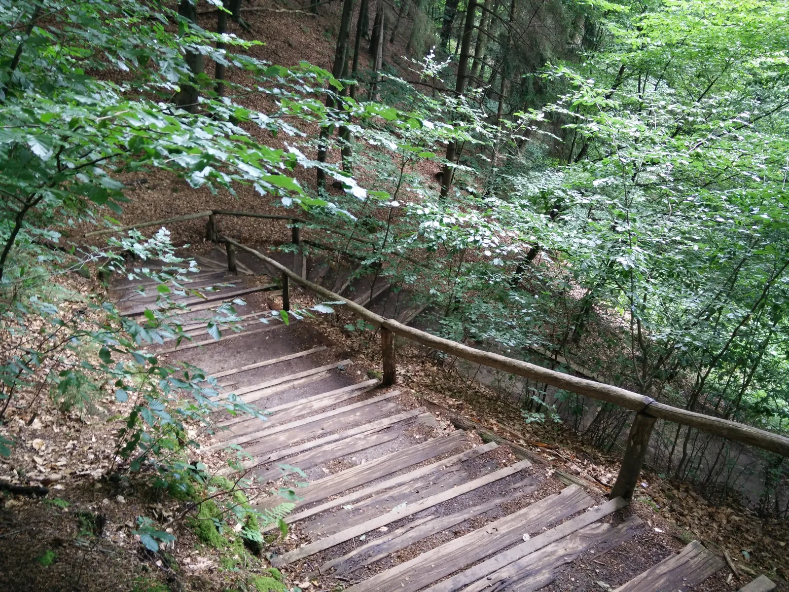 Hohnstein, Germany — 23 July 2015
