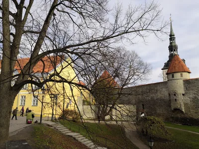 Tallinn, Estonia — 5 November 2018