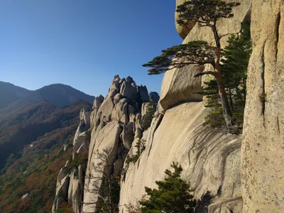Toseong, South Korea — 19 October 2016