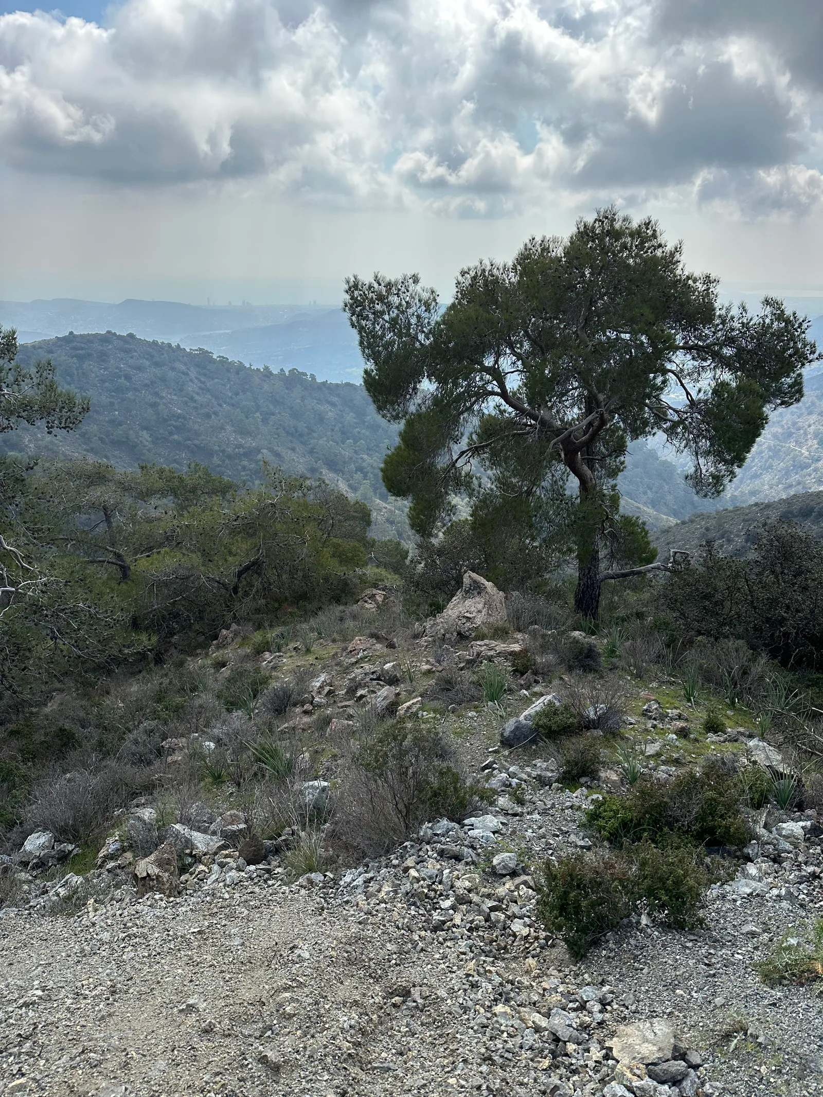 Peléndri, Cyprus — 25 February 2023