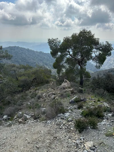 Peléndri, Cyprus — 25 February 2023
