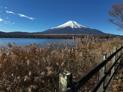 Yamanaka, Japan — 29 November 2024