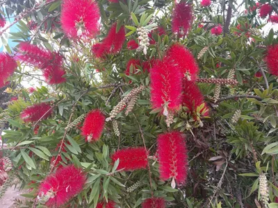 Photo from 29 April 2017