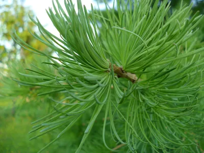 Photo from 16 May 2011