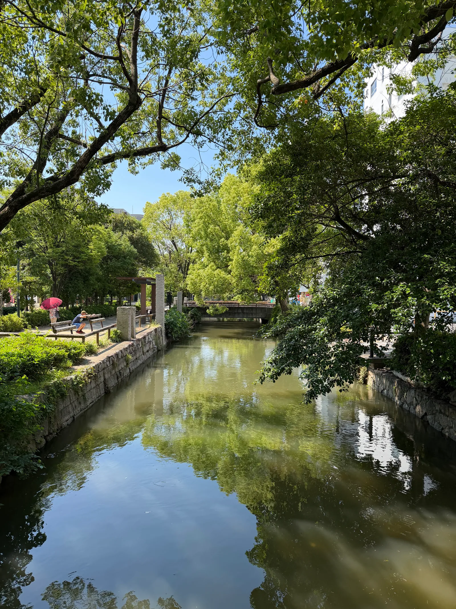 Okayama, Japan — 12 June 2026