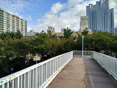 Dongnae, South Korea — 23 October 2016