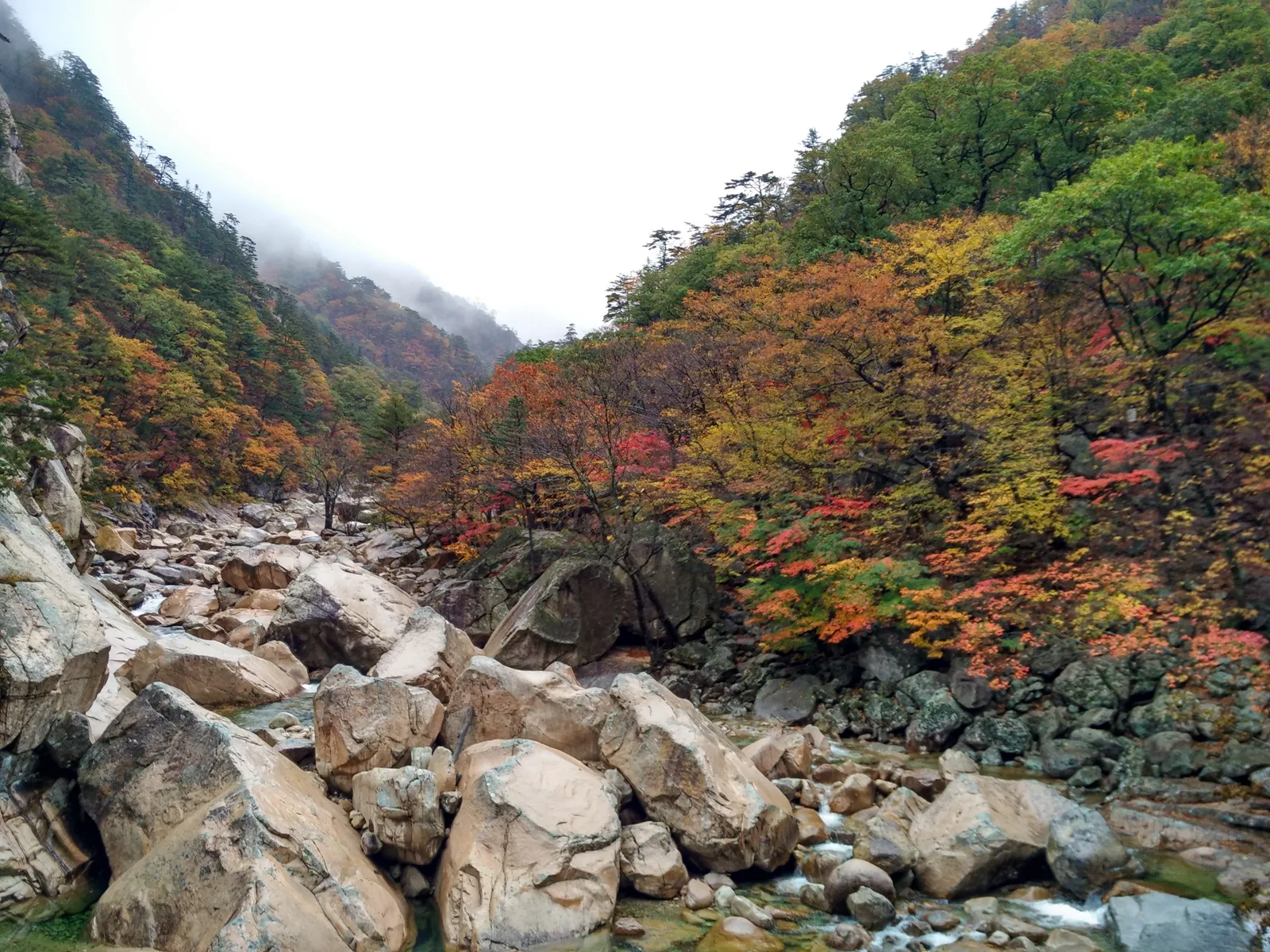 Photo from 21 October 2016