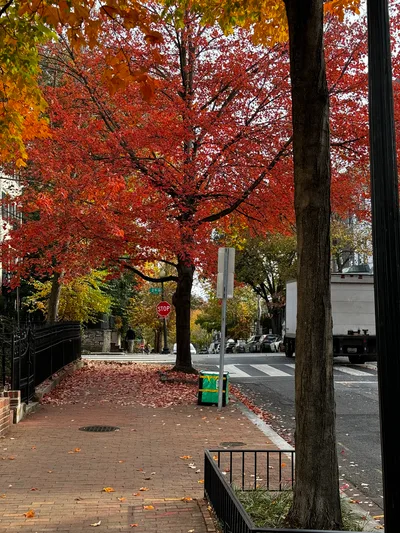 Georgetown, United States — 17 November 2023