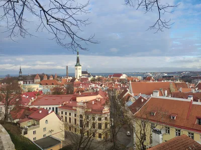 Photo from 5 November 2018