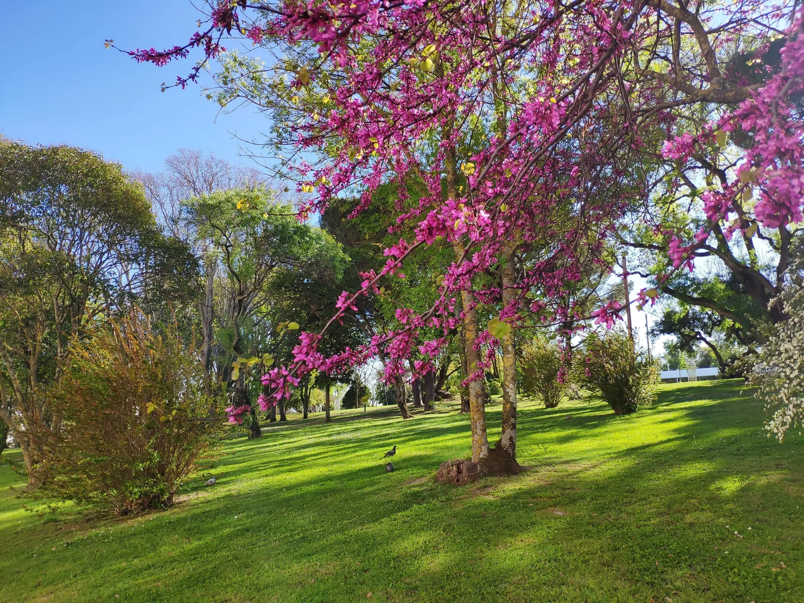 Photo from 20 March 2019