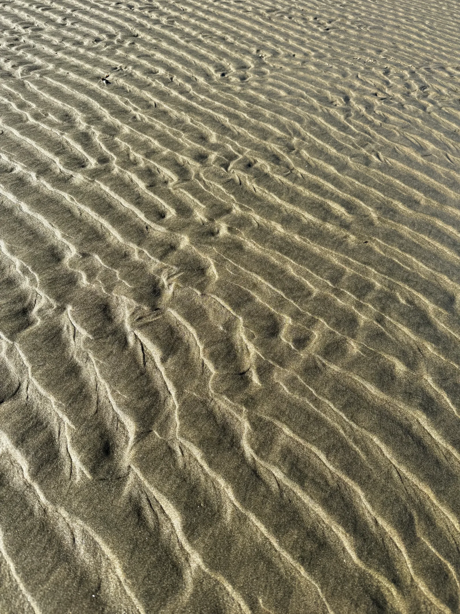Waldport, United States — 26 August 2024