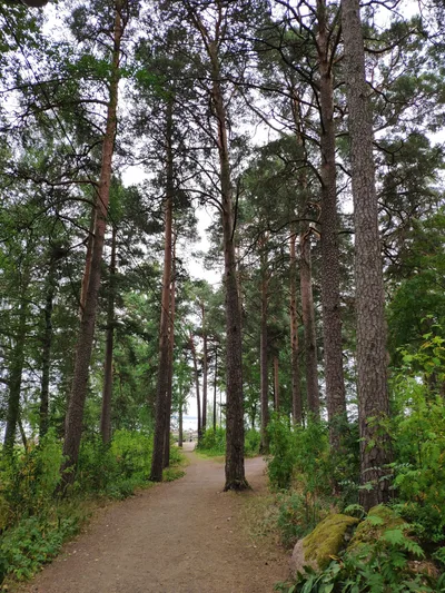 Photo from 1 August 2019