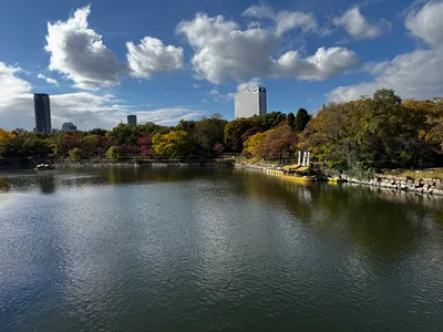 Ajiharacho, Japan — 23 November 2024