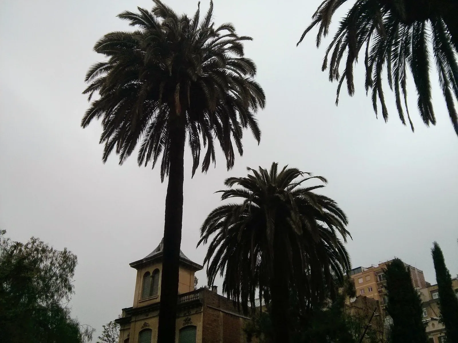Photo from 30 March 2014