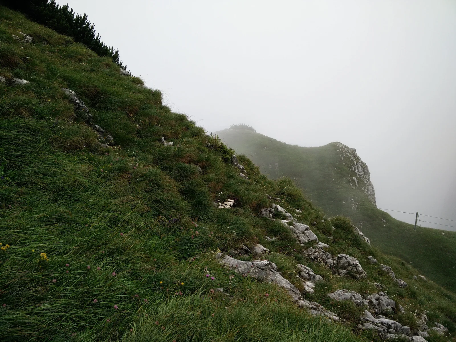 Sankt Leonhard, Austria — 14 July 2015