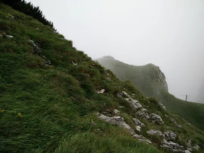 Sankt Leonhard, Austria — 14 July 2015