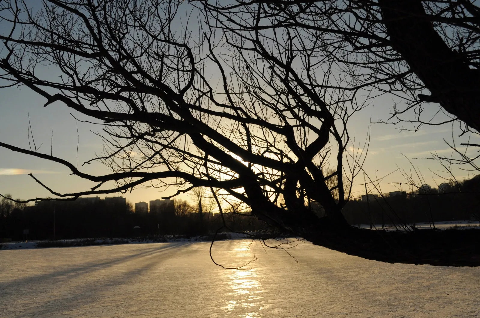 Photo from 15 December 2013