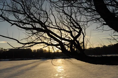 Photo from 15 December 2013