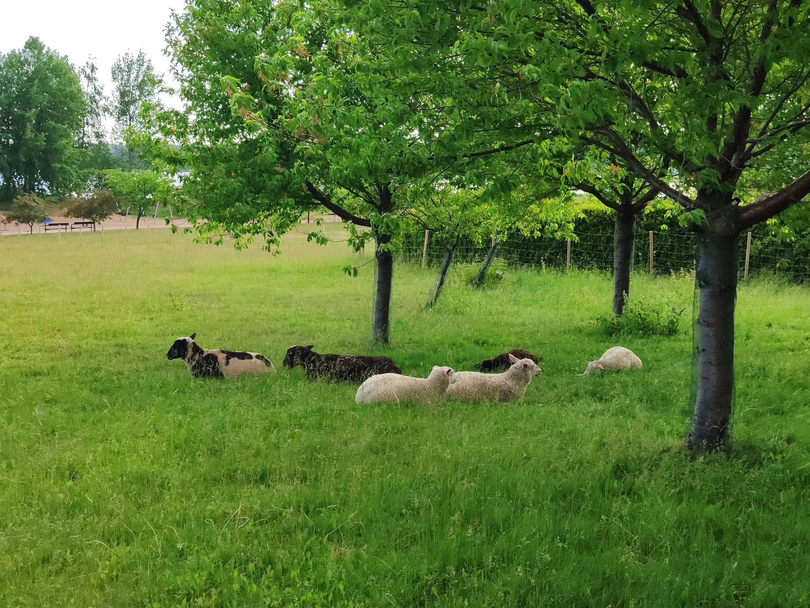 Photo from 16 June 2019