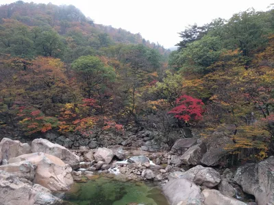 Sokcho, South Korea — 21 October 2016