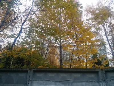 Photo from 24 October 2015