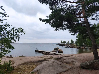 Photo from 1 August 2019