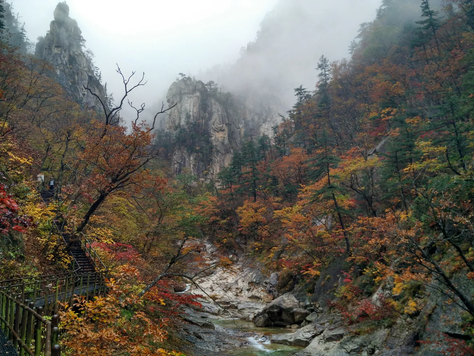 Sokcho, South Korea — 21 October 2016