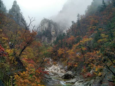 Sokcho, South Korea — 21 October 2016