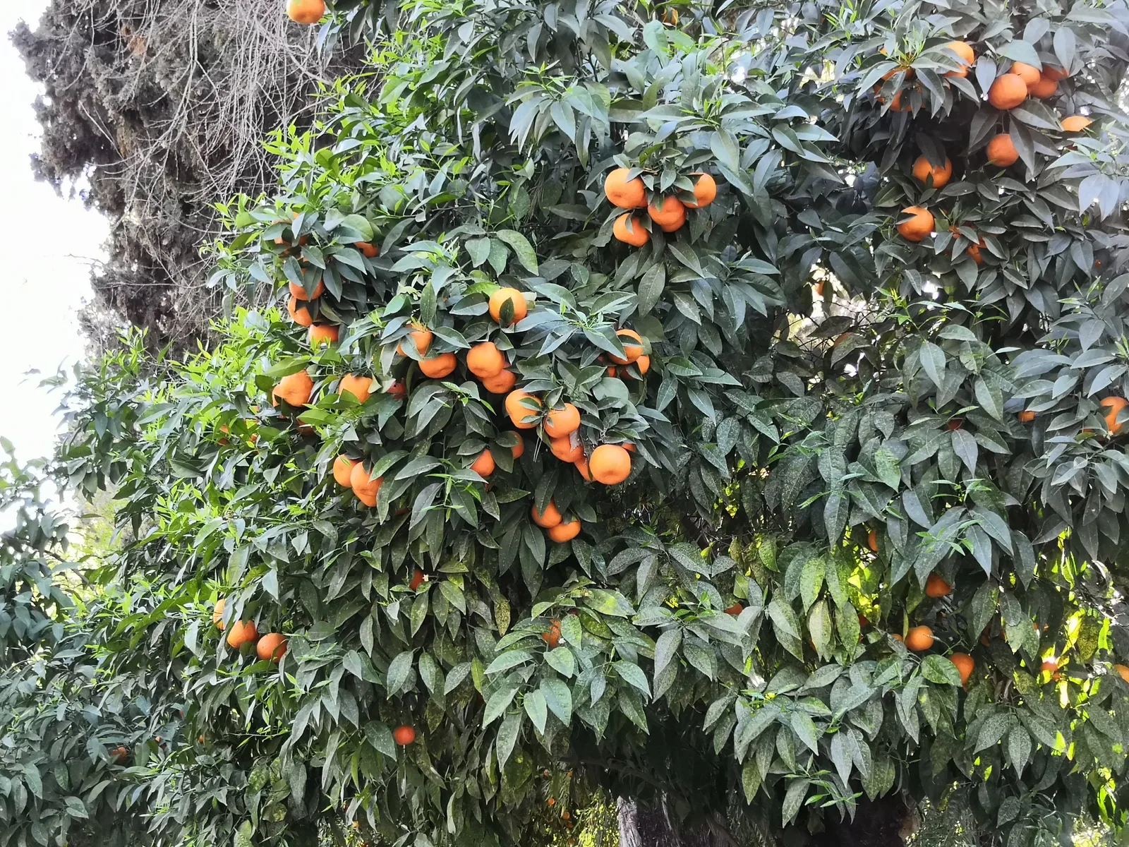 Photo from 14 March 2019